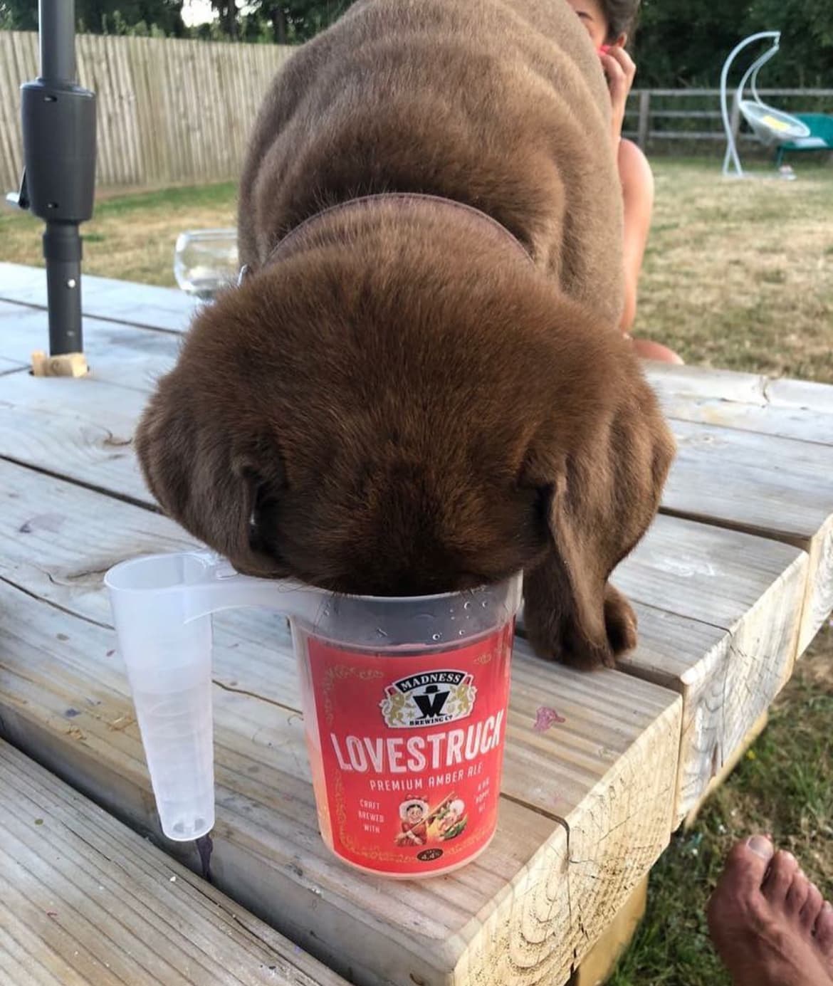 Festival goers with eco cups